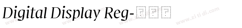 Digital Display Reg字体转换